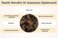 Dried Jatamasi (Spikenard) 200 gm. 