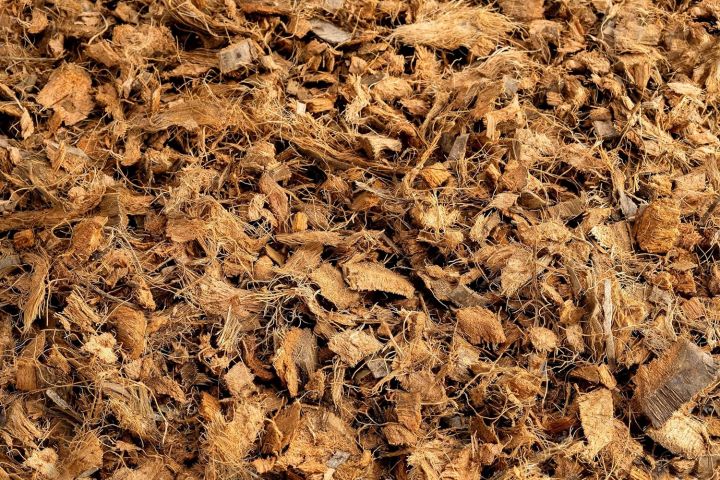Coco%20Husk%20Chips%20for%20Plants%201%20KG%20-%20Image%207
