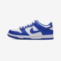 SB Dunk Low Pro Premium Unisex Sneaker. 