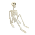 Halloween Skeleton Decoration, Posable Full Body Skeleton for Yard. 