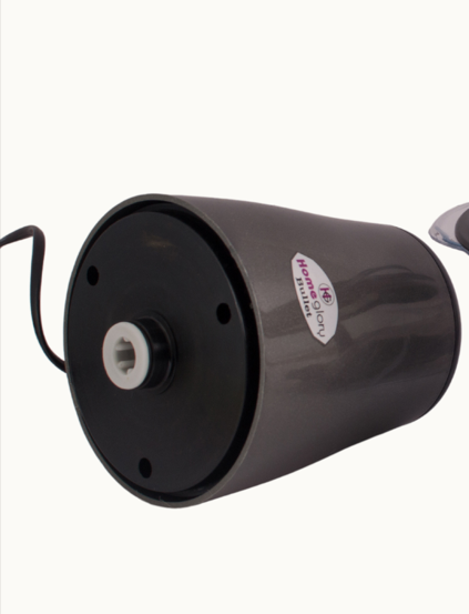 Homeglory%20Bullet%20Chopper%20HG%20-%20101%20%20300%20Watt%20-%20Image%203