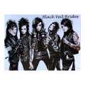 Black Veil Brides Music Band Poster: Multicolour Wall Decor - 14x19 Inches - 130-200 GSM Paper - Perfect For Office, Home, Or Student Room. 