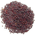 Mustard Seeds / Tori Ko Dana - 1Kg. 
