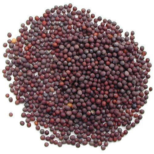 Mustard Seeds / Tori Ko Dana - 1Kg