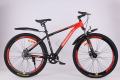 29 inch MTB bike/Mountain bicycle for girls /boys /men/women SwissVelo Double Disc Cycle. 