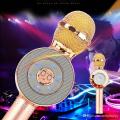 WS668 Wireless Microphone Bluetooth Karaoke Microphone Speaker TF Card/U Disk Music Playing Record FM Radio Mic Speaker. 