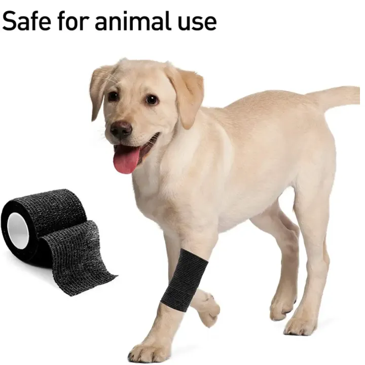 1"%20Inch%20Coban%20Bandage%20(Cohesive%20Bandage)%20-%20Image%203