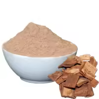 अर्जुन चाल