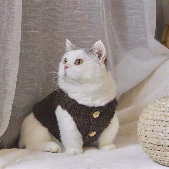 Fashion%20Soft%20Cozy%20Cat%20Clothes%20Fleece%20Winter%20Warm%20Sweatshirt%20Costume%20Sweater%20Pet%20Cat%20-%20Image%206