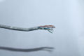 Cat 6 UPT Ethernet/LAN Cable 350M/1000Ft. 