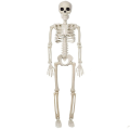 Halloween Skeleton Decoration, Posable Full Body Skeleton for Yard. 