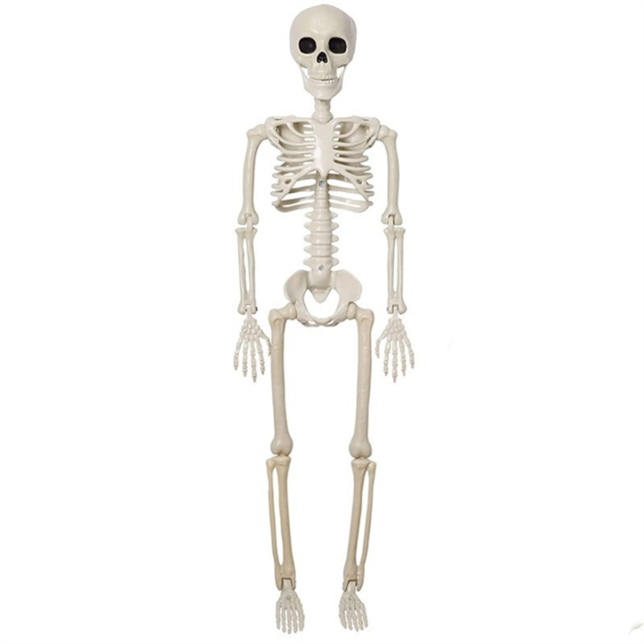 Halloween Skeleton Decoration, Posable Full Body Skeleton for Yard