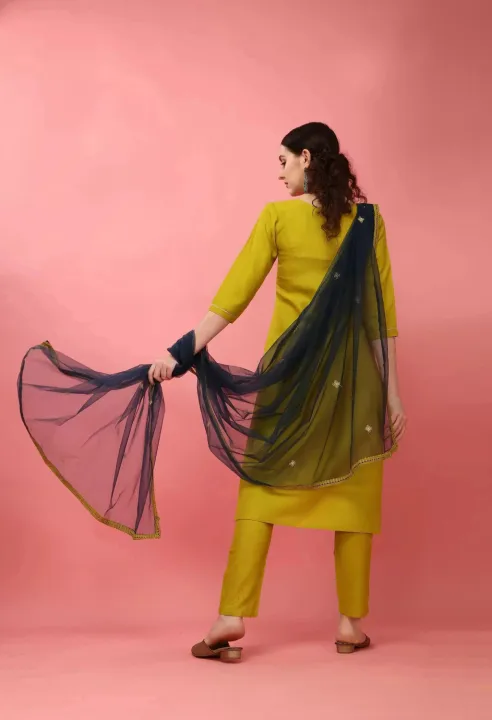 Fabdale%20Viscose%20Rayon%20Embroidered%20Kurta%20Suruwal%20Set%20with%20Dupatta%20%7C%20Salwar%20Suit%20for%20Women%20%7C%20Wedding%20&%20Festive%20Wear%20(PLDI-017)%20-%20Image%203