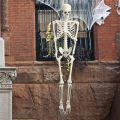Halloween Skeleton Decoration, Posable Full Body Skeleton for Yard. 