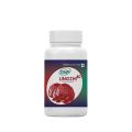 GNP Lingzhi-80 Mushroom Health Supplement  (90 capsules). 