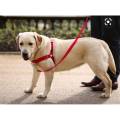 Petsafe Easy Walk Front-Attachment Harness and Lead Set. 