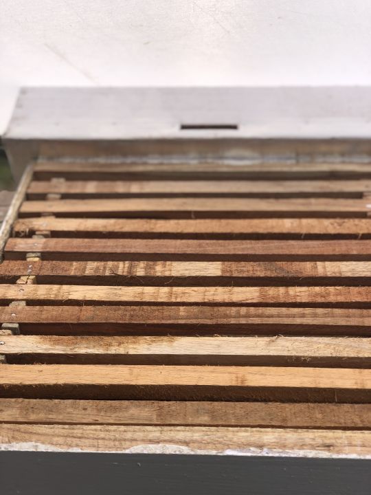 Cerena%20Bee%20Hive%20-%20Image%202