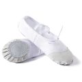 Adult and children's lacing-free soft-soled dance practice shoes, men's and women's yoga ballet shoes, soft-soled cat's paw dance shoes. 