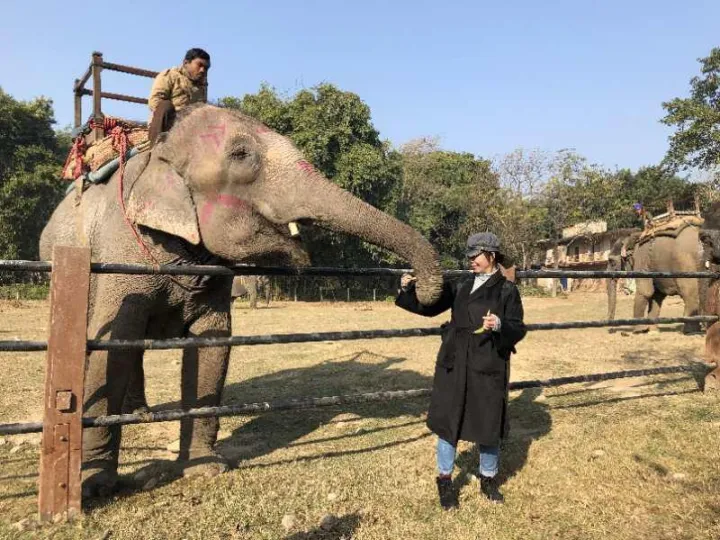 1%20Night%202%20Days%20New%20Year%20Package%20For%20Sauraha,%20Chitwan%20-%20Image%203