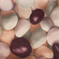 Pebbles Design Fancy Wallpaper 57 Sq. Ft. 