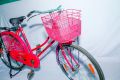 S.K Bike Ladies glory. 