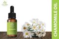 Chamomile Oil 30ml /Herbs Nepal. 