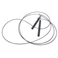 Black Jump Rope Ultra-Speed Ball Bearing Skipping Rope Steel Wire Jumping Ropes For Boxing Gym Fitness Training. 