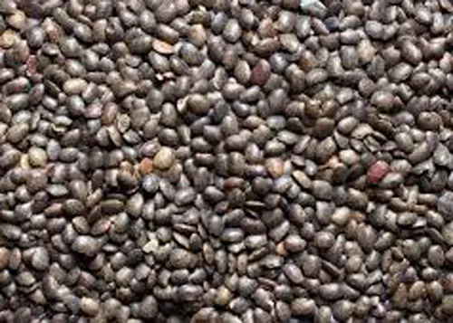Gahat%20(%20Horse%20Gram%20)%201%20Kg%20-%20Image%203