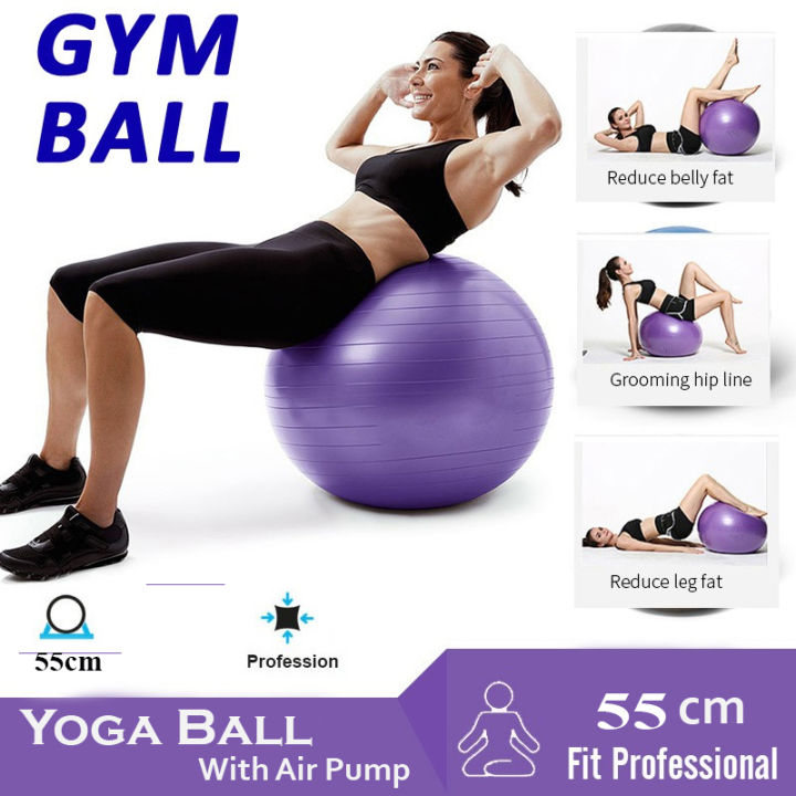 Yoga Ball 55Cm Exercise Ball With Pump Daraz .np