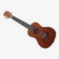 Fender Concert Ukulele 24 Inch. 