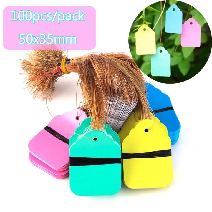 Outside Tag 100pcs Reusable PVC Hanging Plant Tag with String Marker Signs Garden ...