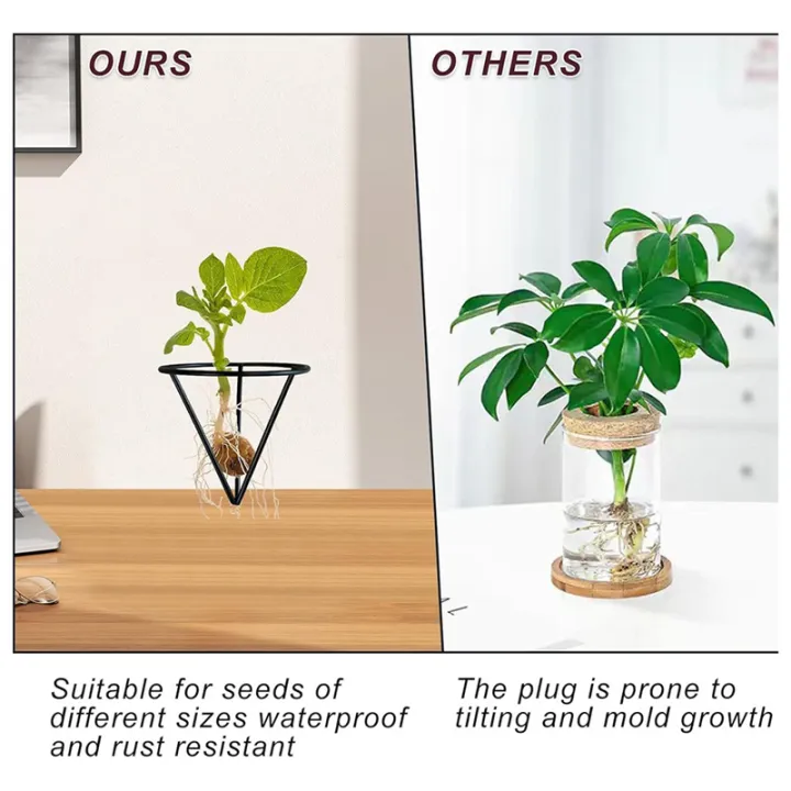4%20Pieces%20Avocado%20Seed%20Growing%20Metal%20Stand%20-%20Image%206