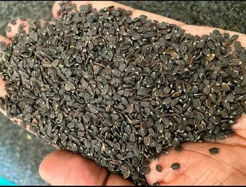 Bansilam%20-%20Himalayan%20Chia%20Seeds%20-%20200%20gm%20-%20Image%202