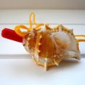Instrument Tourism Party Horn Shipping Children Shell Creative Gift Survival Tool Conch Whistle. 