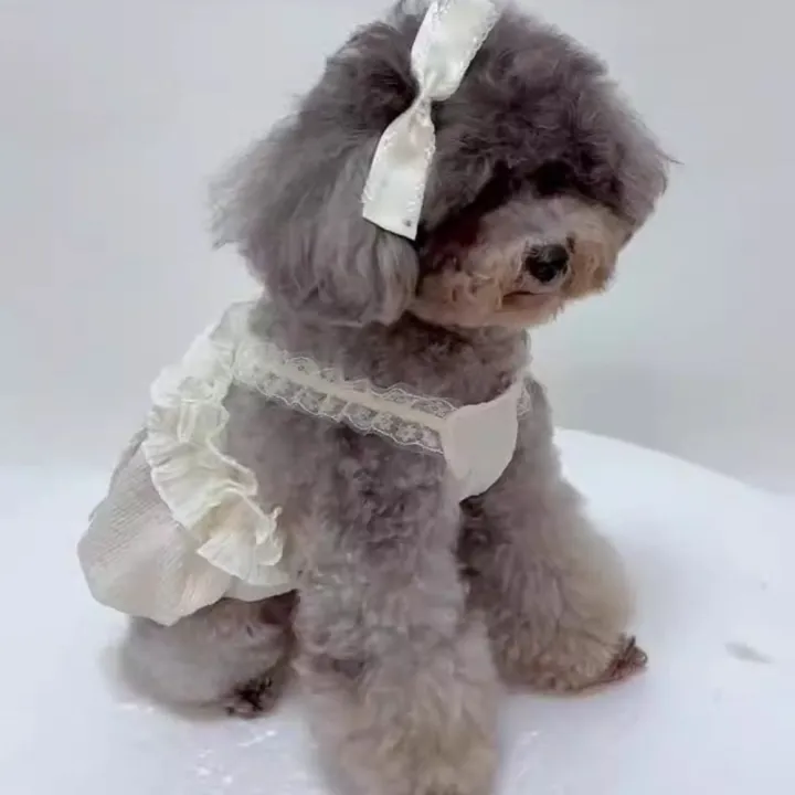Pet%20Supplies%20Cute%20Pet%20White%20Lace%20Camisole%20Soft%20Breathable%20Summer%20Pet%20Vest%20Thin%20Design%20Dog%20Dress%20Spring%20Summer%20Autumn%20-%20Image%207