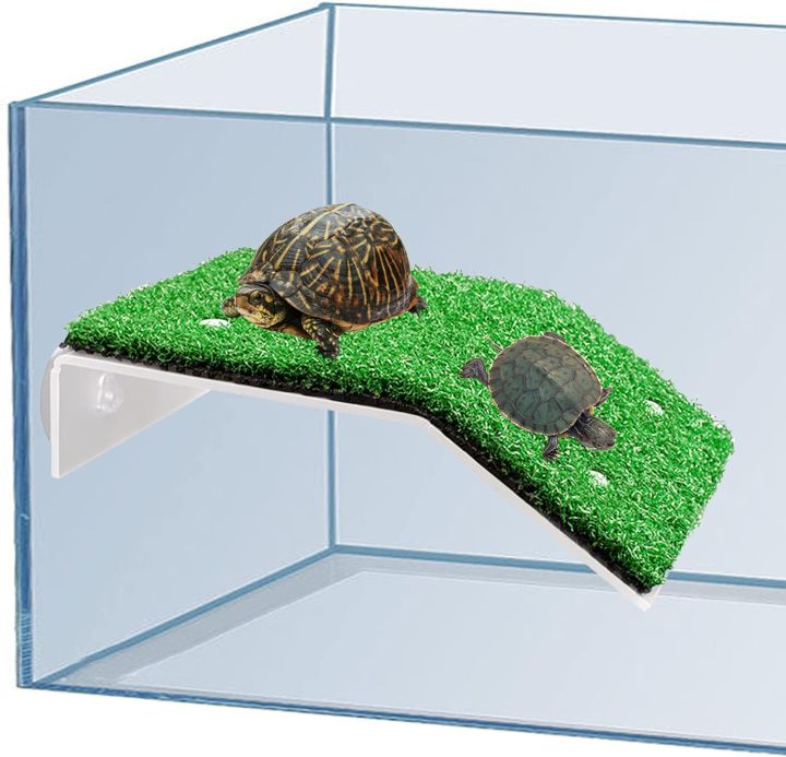 Turtle%20Basking%20Platform%20Aquarium%20Decor%20Decoration%20Terrace%20Supplies%20Aquariums%20For%20Turtles%20Big%20Tortoise%20Ramp%20-%20Image%207