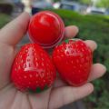 Hot Strawberry Lip Balm Shape for Sweet Lips - 1 Piece. 