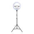 YQ-460B 46CM 18 Inch Dimming Studio Ring Light Led Make Up Selfie Lamp With Tripod Holder. 
