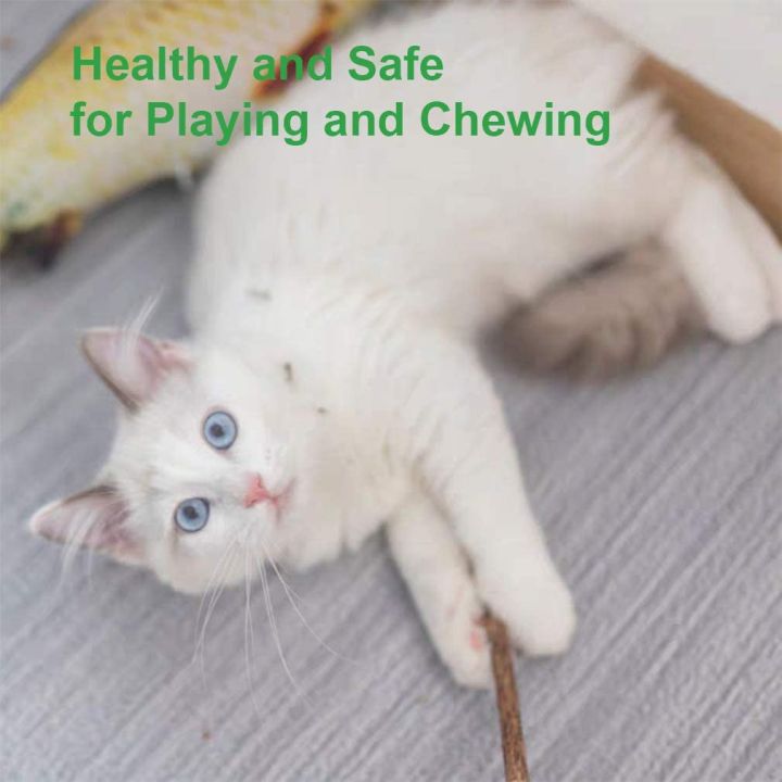 15Pcs%20Natural%20Silvervine%20Sticks%20for%20Matatabi%20Chew%20Sticks%20Teeth%20Molar%20Chew%20Toys%20for%20Cat%20Teeth%20Cleaning%20-%20Image%203