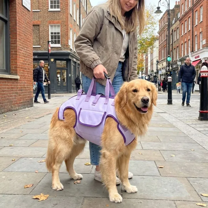 Fashion%20Portable%20Dog%20Carrier%20Bag%20Breathable%20Handheld%20Cat%20Handbag%20Comfortable%20Dog%20Sling%20Backpack%20Walking%20-%20Image%204
