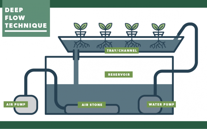 Hydroponic%20System%20For%2032%20Plants%20-DFT%20(Deep%20Flow%20Technique)%20-%20Image%204