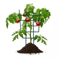 Plastic Plant Support for Garden Climbing Flower Fixed Plant Growth Direction Style 5. 