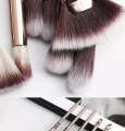 MAANGE 5 pcs Makeup Brush set for Eye makeup. 