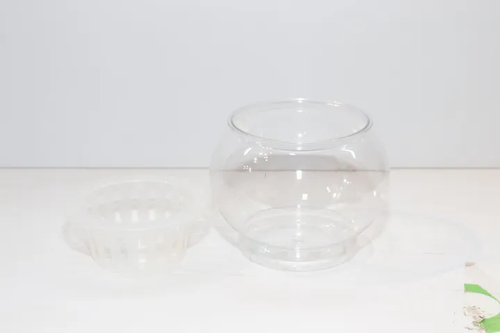 Good%20Luck%20Money%20Plant%20in%20White%20Round%20%20Plastic%20%20Pot%20-%20Image%203