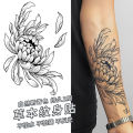 Juice herbal tattoo sticker semi-permanent can not be washed off, waterproof and non-reflective, Japanese old traditional cherry blossom arm koi fish man. 