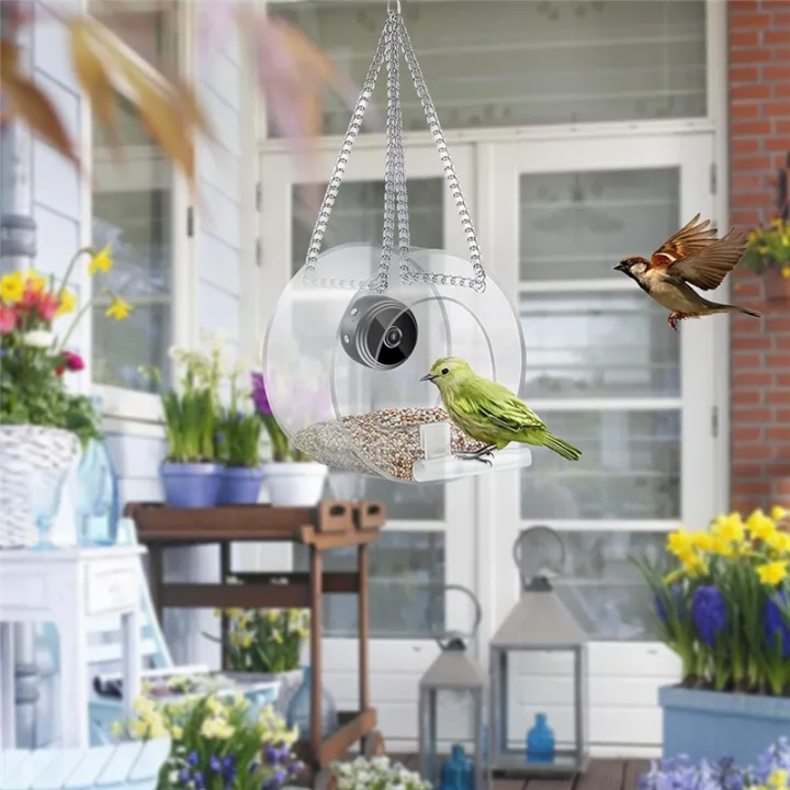 ARELENE%20Smart%20Bird%20Feeder%20with%20Camera,%20Bird%20Watching%20Camera%20Wirelessly%20Automatically%20Captures%20Bird%20Video%20and%20Motion%20Detection%20-%20Image%206