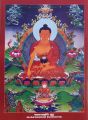 Shakyamuni Buddha Poster: Multicolour Wall Decor - 14x19 Inches - 130-200 GSM Paper - Perfect For Office, Home, Or Student Room. 