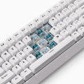 MCHOSE Ace 68 Hall Effect Magnetic Switch Wired Gaming Keyboard, 0.1ms Ultra Low Latency, RGB, Rapid Trigger Gaming Keyboard. 