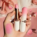 1 Piece Color Changing Lipstick Queen, PH Mood Long Lasting Labiales Lip Gloss Lip Balm Tinted Magic Lip Stain Makeup Lipstick Set for Women - Best Lipstick Ever. 