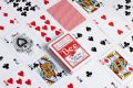 Bee Playing Cards - Standard Index(Set of 3). 